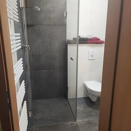 Wirtshaus Zur Bina 호텔 2*